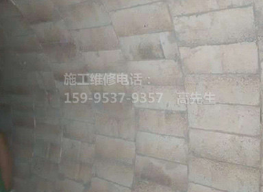 60吨危险品垃圾焚烧炉